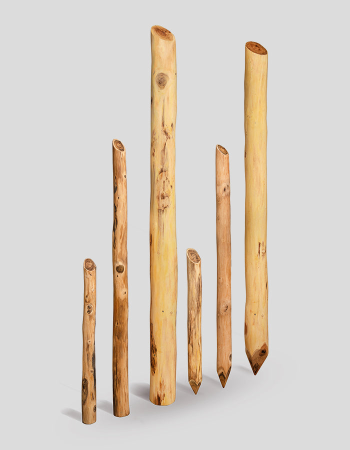 Robinienpfähle rund, extra-gerade, geschält und geglättet, oben angeschrägt