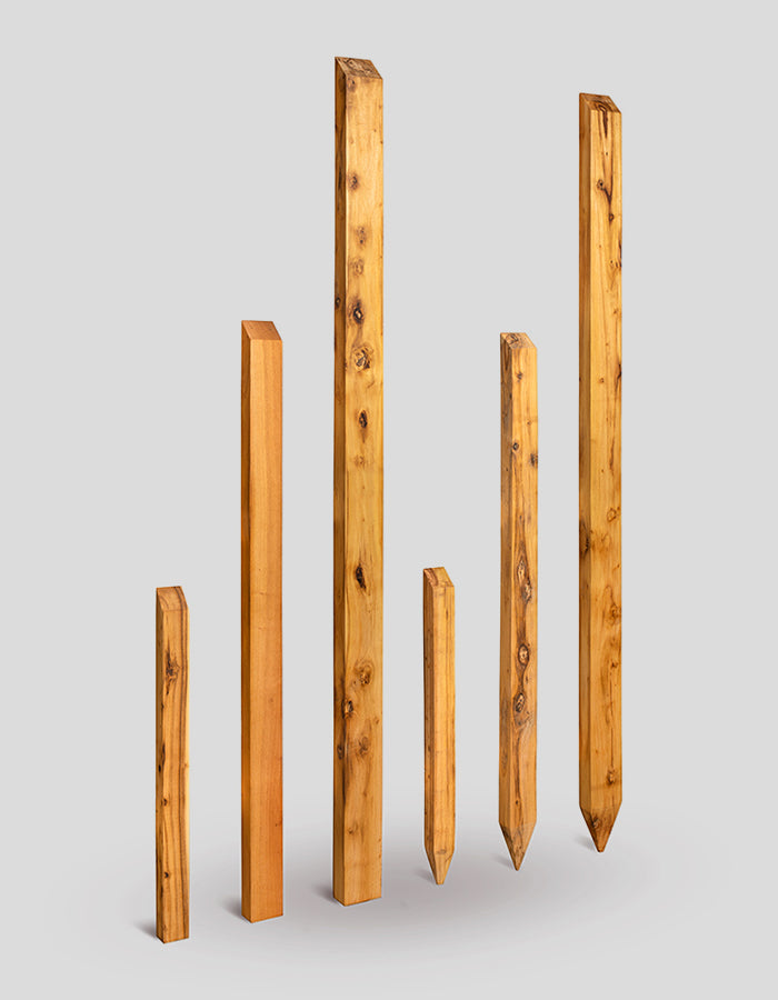 Rechthoekige palen (met afgeschuinde randen), ruw gezaagd, afgeschuind aan de bovenkant, gemaakt van robiniahout.