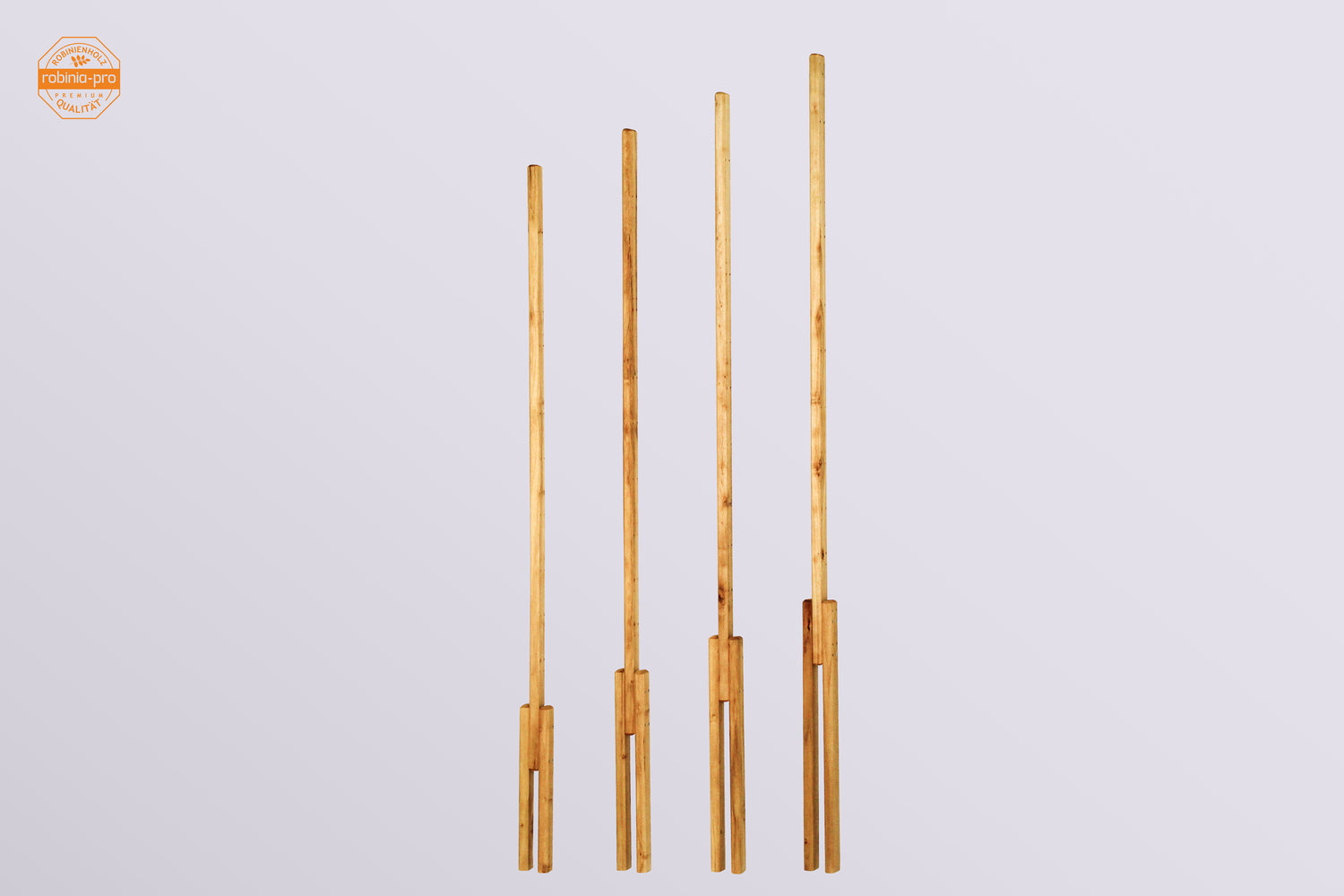 robinia-pro Spaliepaal voor druiven / fruitbomen