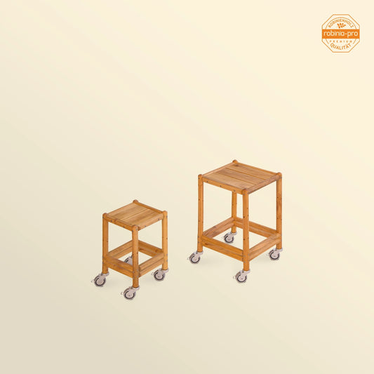 robinia-pro BLOEMENZAAL op wielen