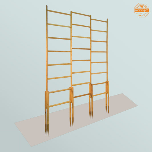 robinia-pro TOMATEN TRELLIS