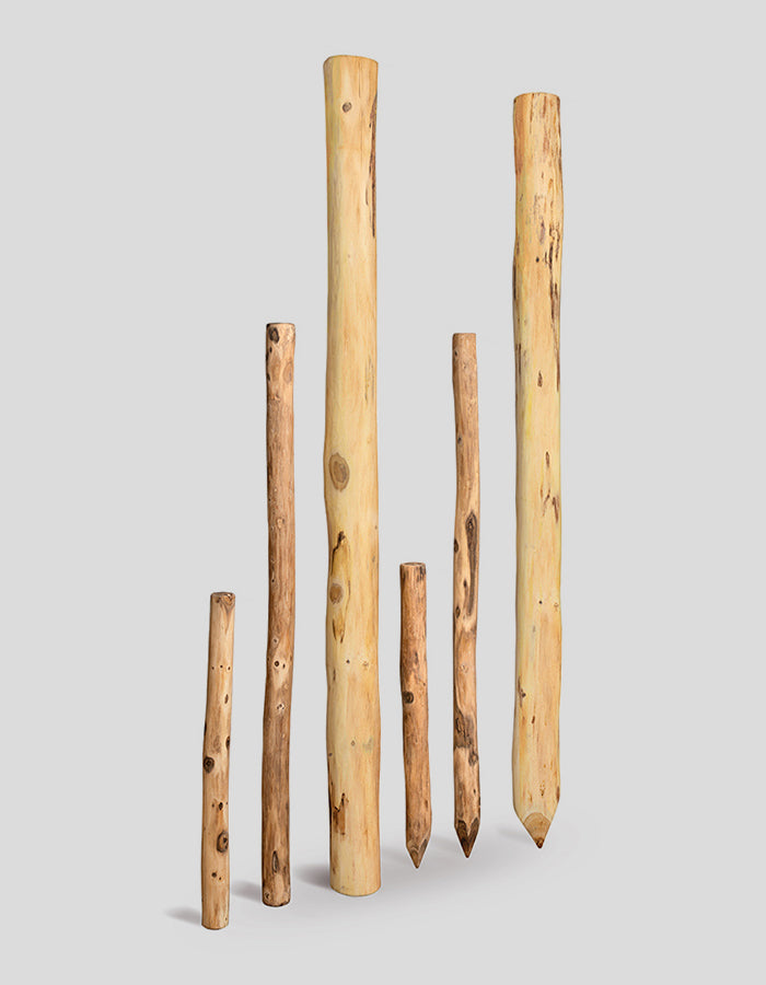 Robinia palen, rond, extra recht, geschild en gladgemaakt, recht aan de bovenkant. 