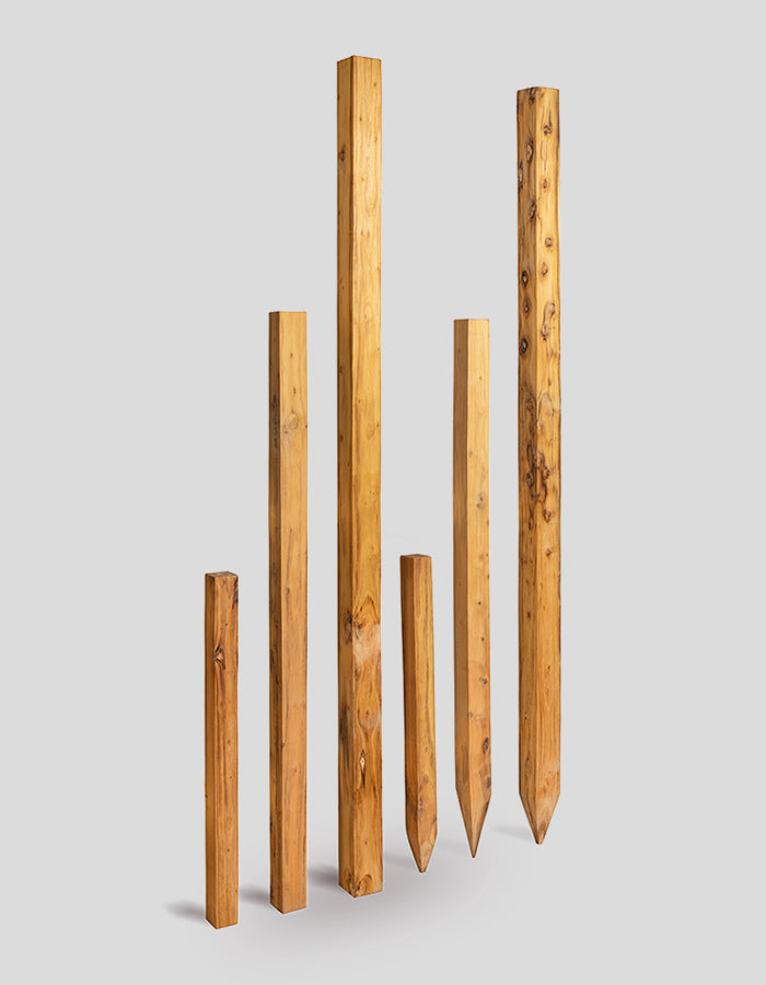 Vierkante palen, ruw gezaagd, rechte bovenkant, gemaakt van robiniahout.