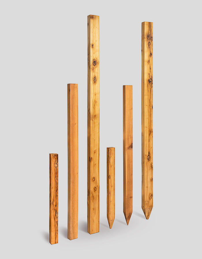 Rechthoekige palen (met afgeschuinde randen), ruw gezaagd, rechte bovenkant, gemaakt van robiniahout.