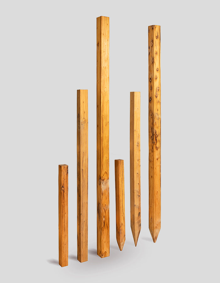 Vierkante palen, geschuurd, rechte bovenkant, gemaakt van robiniahout.