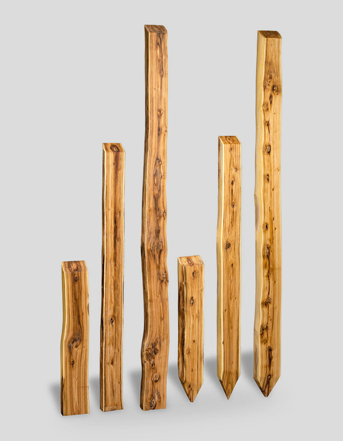 Bonanza-palen (zonder randen), ruw, afgeschuind aan de bovenkant, gemaakt van robiniahout.