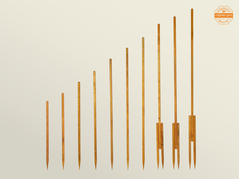 robinia-pro TIMBRE ROSE