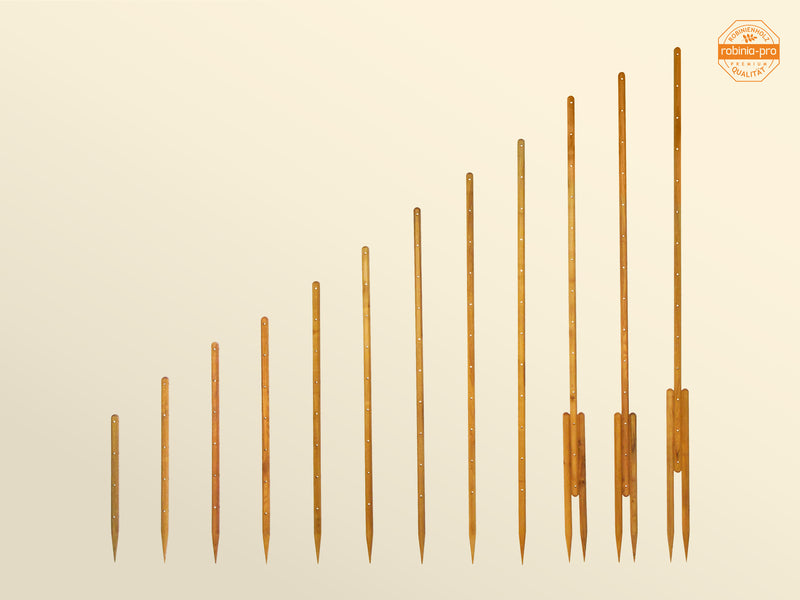 robinia-pro RANKSTAB