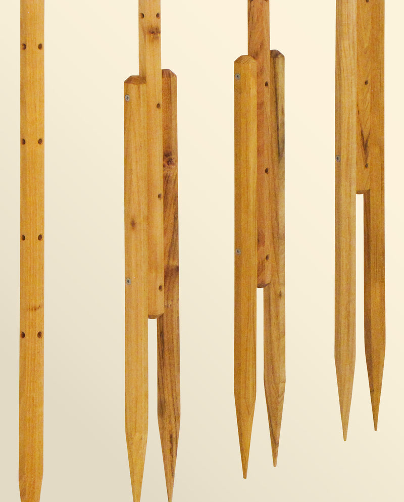 robinia-pro RANKSTAB