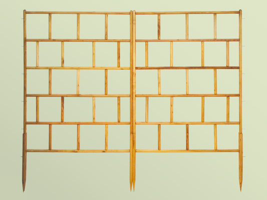 robinia-pro Klimrekschutting