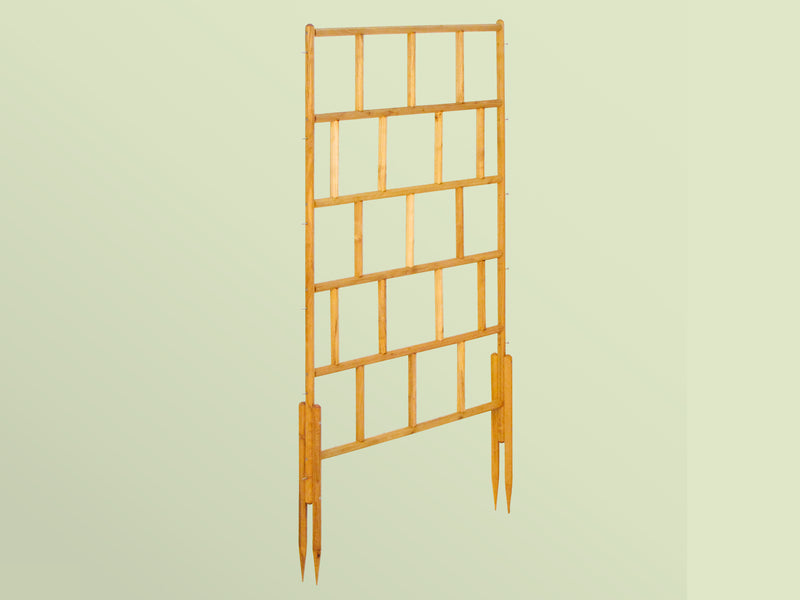robinia-pro Klimrekschutting