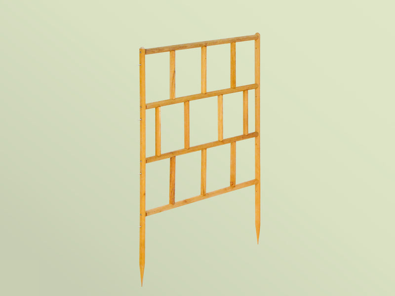 robinia-pro Klimrekschutting