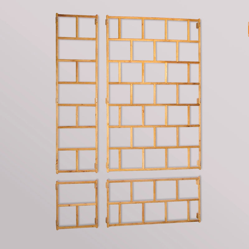treillis mural Robinia-Pro classique 