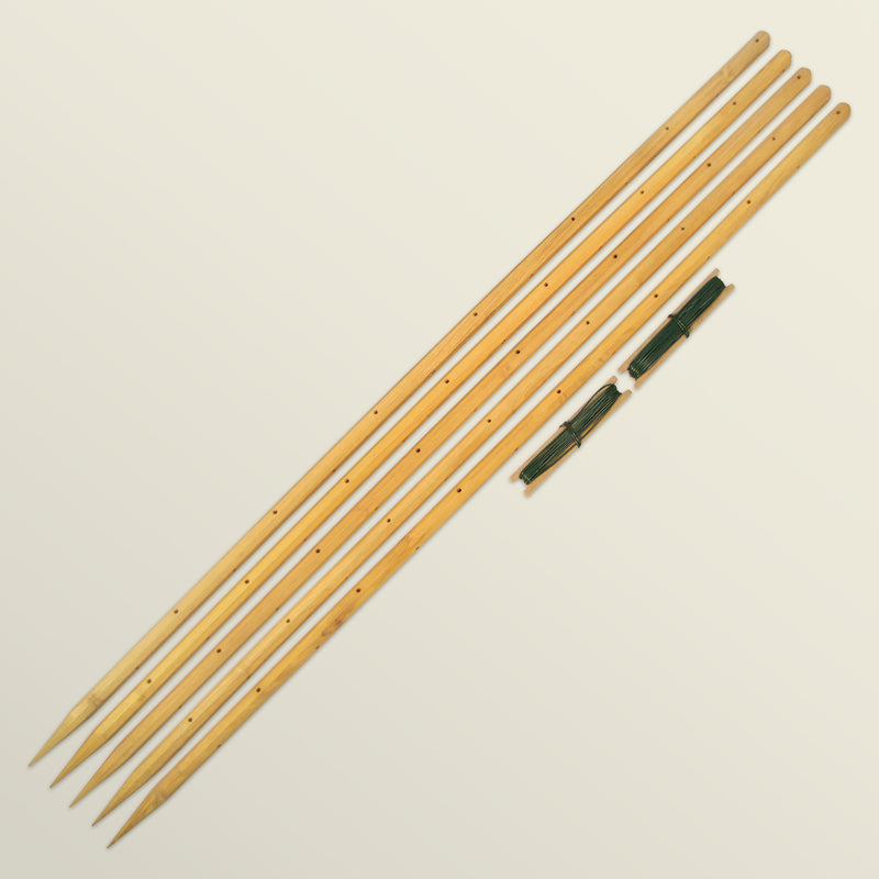 robinia-pro FRAMBOZEN TRELLIS