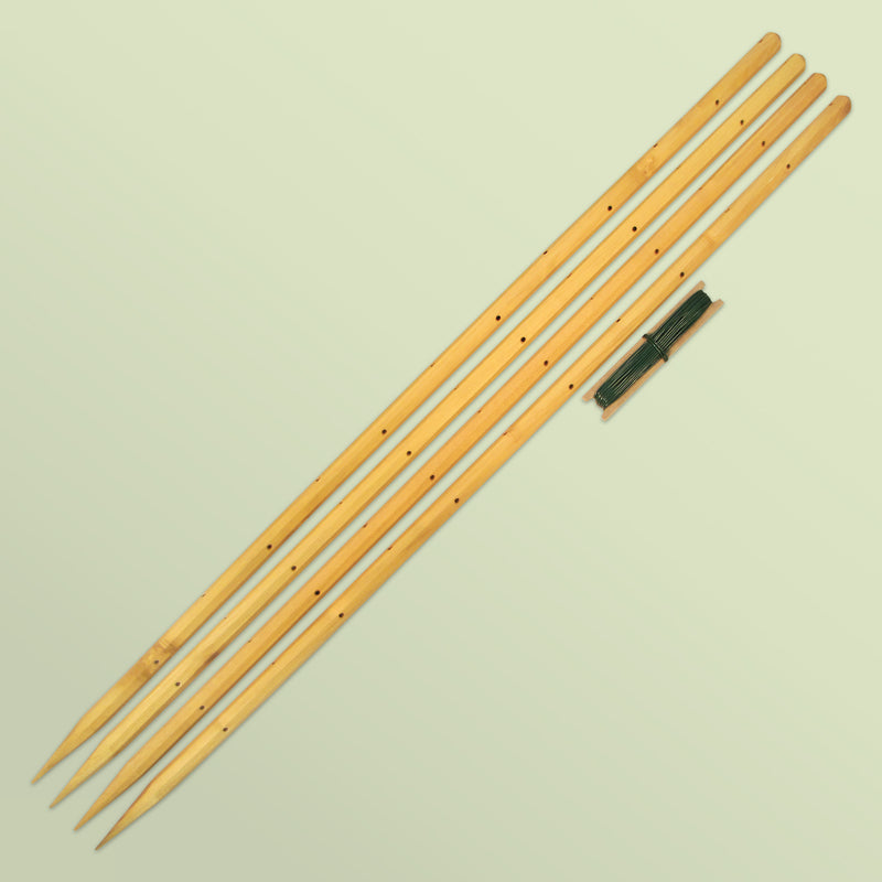 Robinia-Pro biedt ondersteuning voor pioenrozen, dahlia's en andere vaste planten.