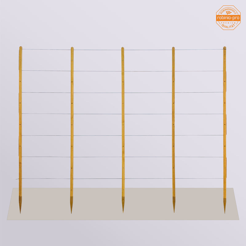 robinia-pro RANKHILFE für Gurken