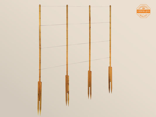 robinia-pro FRAMBOZEN TRELLIS