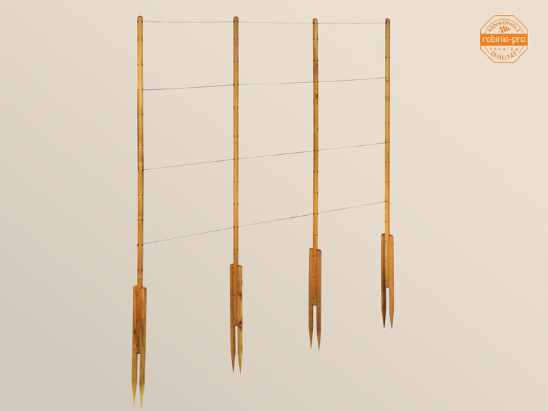 robinia-pro FRAMBOZEN TRELLIS