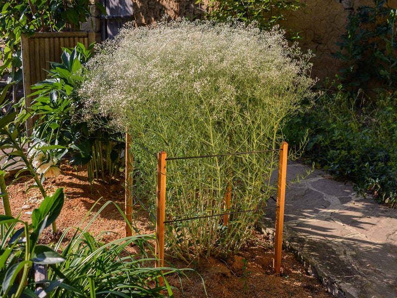 robinia-pro BOMEN ONDERSTEUNINGSSET