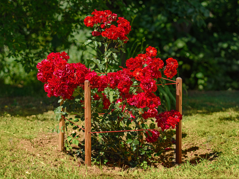 robinia-pro BOMEN ONDERSTEUNINGSSET