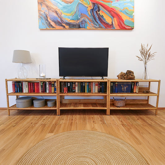 robinia-pro TV-REGAL aus Holz (Massivholz)