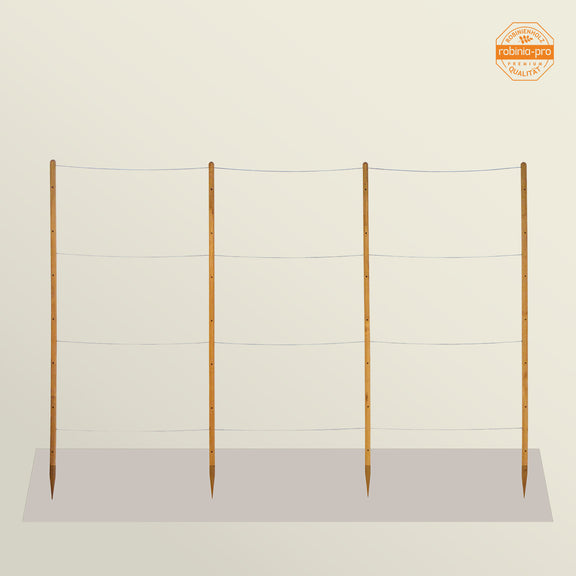 robinia-pro Himbeerspalier