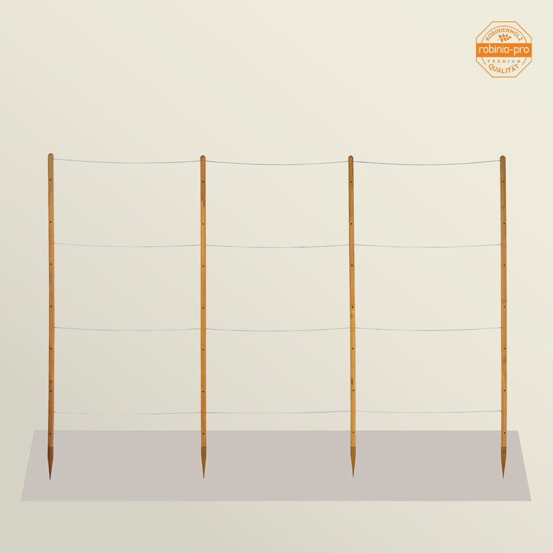 robinia-pro Himbeerspalier