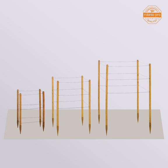 robinia-pro Staudenhalter
